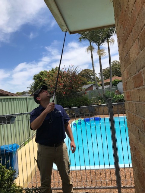 Inspecting the Facia and Gutters, Building Inspection, Medowie